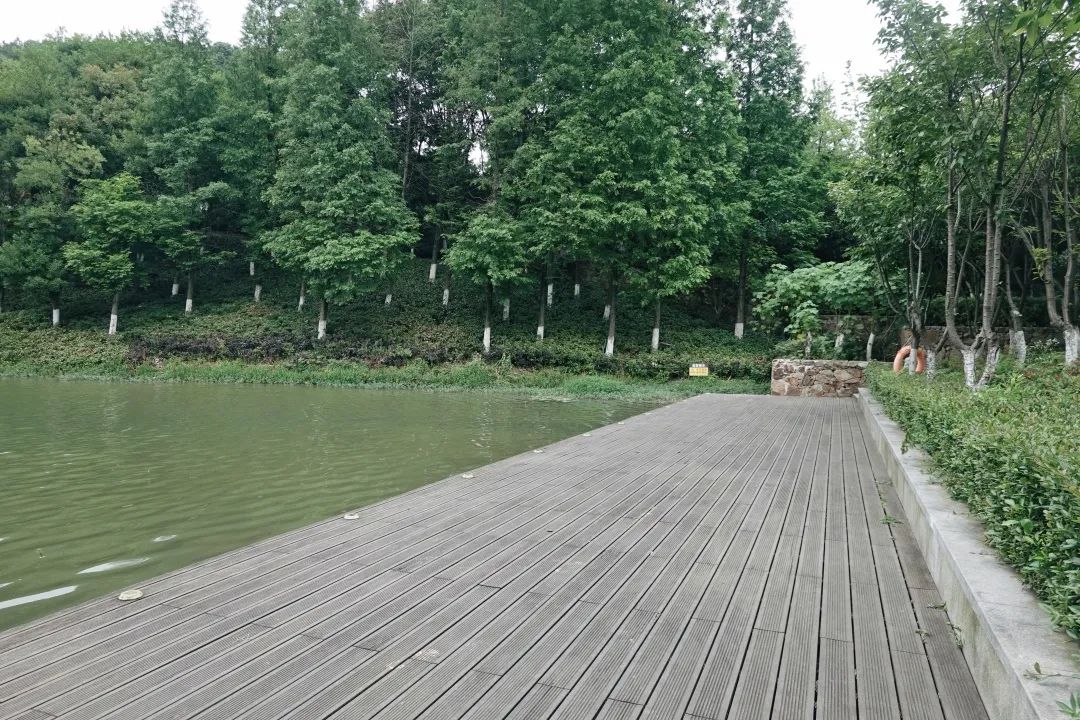 DƬ